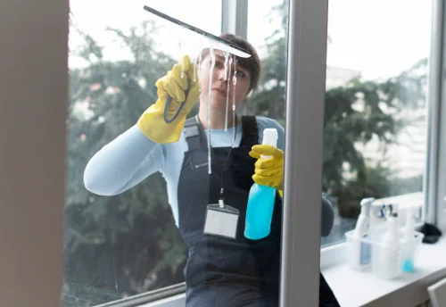 Nettoyage de vitres intérieures et extérieures au Born
